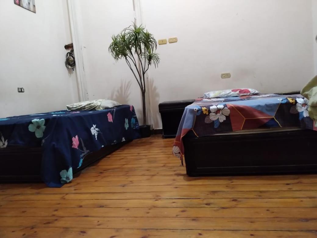 New Safari Hostel 开罗 外观 照片
